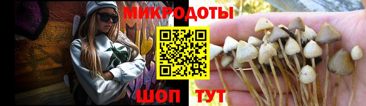Псилоцибиновые грибы MAGIC MUSHROOMS Краснодар