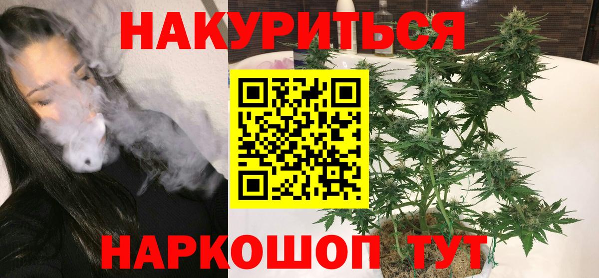 Канабис ГИДРОПОН  Канабис OG Kush  Каннабис AK-47  Краснодар  Вход с VPN 